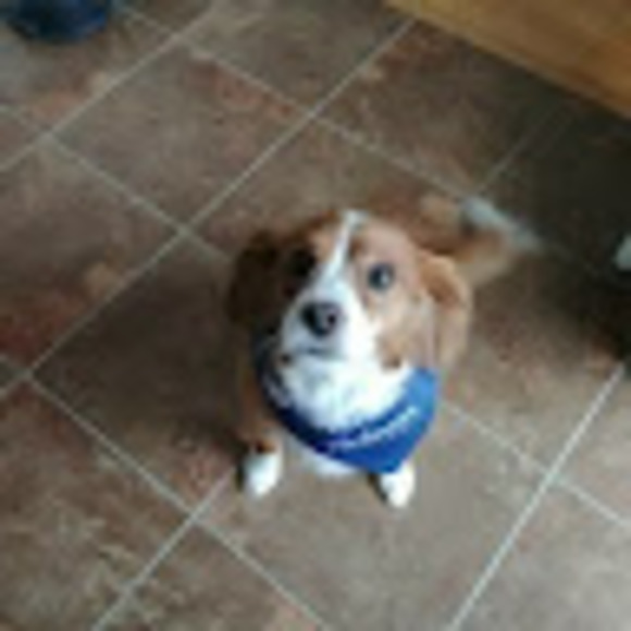 Meet your Posher, Mindy - Picture 1 of 1